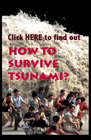 How to survive tsunami?